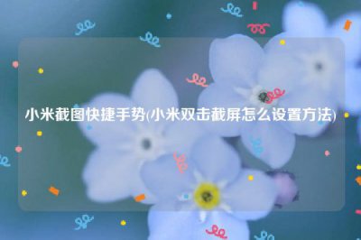 ​小米截图快捷手势(小米双击截屏怎么设置方法)