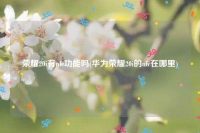 ​荣耀20i有nfc功能吗(华为荣耀20i的nfc在哪里)