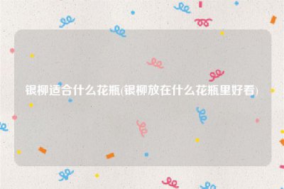 ​银柳适合什么花瓶(银柳放在什么花瓶里好看)
