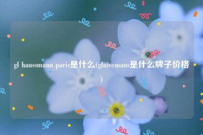 ​gl haussmann paris是什么(glaivemans是什么牌子价格)