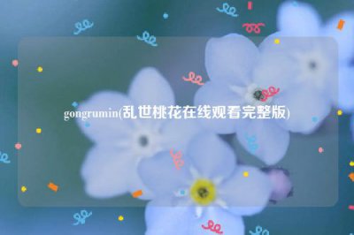 ​gongrumin(乱世桃花在线观看完整版)