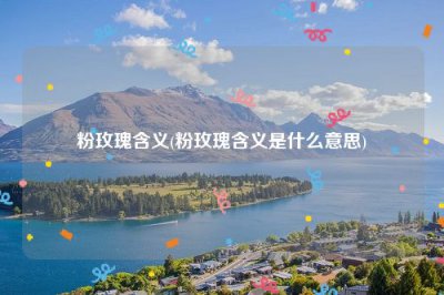 ​粉玫瑰含义(粉玫瑰含义是什么意思)
