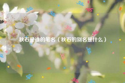 ​秋石是谁的笔名（秋石的别名是什么）