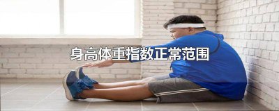 ​身高体重体质指数 正常的身高体重指数