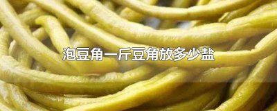 ​一斤豆角放多少盐做酸豆角用 做酸豆角一斤豆角放多少盐合适
