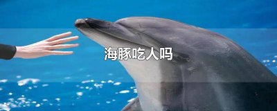​有没有人吃海豚 海豚会吃人吗海豚会救人吗