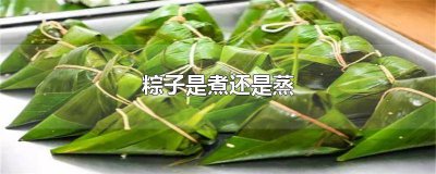 ​煮的粽子好吃还是蒸的粽子好吃 粽子是煮的好还是蒸的好吃