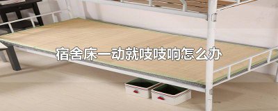 ​宿舍床一动就吱吱响怎么办 宿舍床一动就吱吱响怎么办,是一整块木板