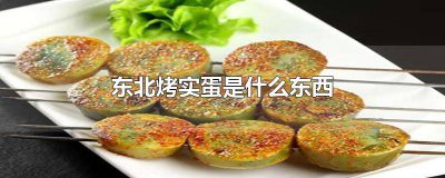 ​东北实蛋是毛蛋吗 东北菜实蛋