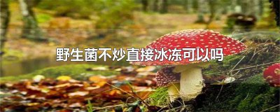 ​新鲜的菌类可以冷冻吗 野生菌怎么冷冻保存