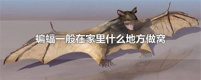 ​怎么判断蝙蝠有没有在家里做窝 家里有很多蝙蝠在做窝是怎么回事