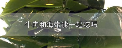​海带能与牛肉一起吃吗 请问牛肉和海带可以一起吃吗