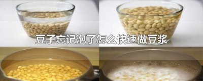 ​想喝豆浆忘记泡豆子了怎么办? 制作豆浆的豆子泡多久