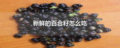 ​新鲜的百合籽怎么吃好 新鲜的百合籽怎么吃好吃