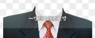 ​一寸照片像素尺寸多少厘米 一寸照片像素尺寸应该输多少