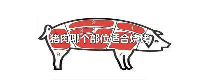 ​猪肉哪个部位适合烧烤肉串 猪肉哪个部位适合烧烤