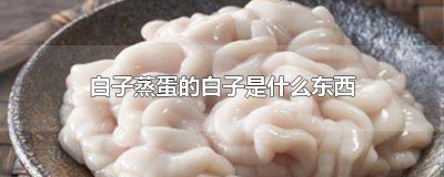 ​白子蒸蛋的白子是啥 白子蒸蛋是什么菜