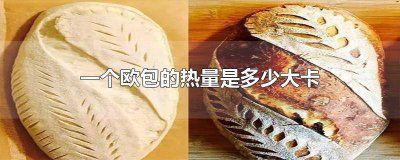 ​薄荷健康欧包热量 减肥欧包的热量