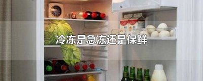 ​冰箱冷冻是急冻还是保鲜 冷冻是急冻还是保鲜