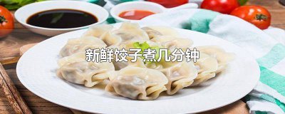 ​煮新鲜饺子多久能熟 煮新鲜饺子多久熟