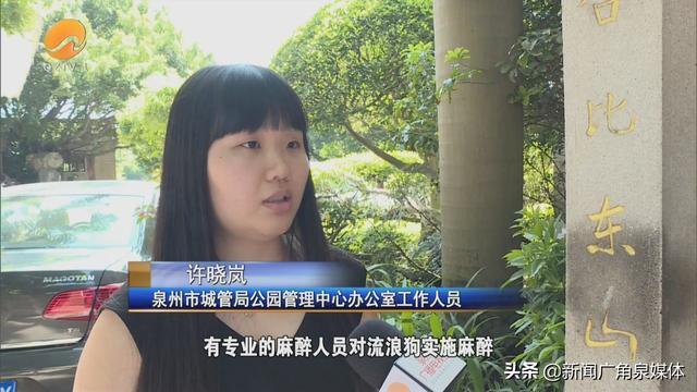 网曝保安毒杀流浪狗 公园回应来了