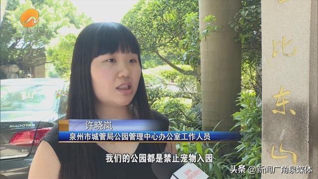 网曝保安毒杀流浪狗 公园回应来了