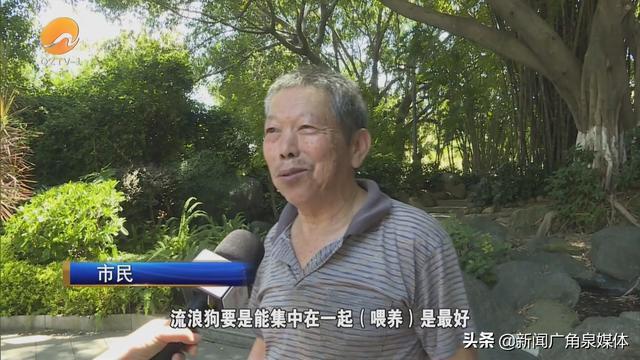 网曝保安毒杀流浪狗 公园回应来了