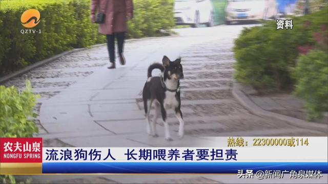 网曝保安毒杀流浪狗 公园回应来了
