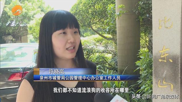 网曝保安毒杀流浪狗 公园回应来了