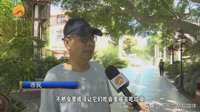 网曝保安毒杀流浪狗 公园回应来了