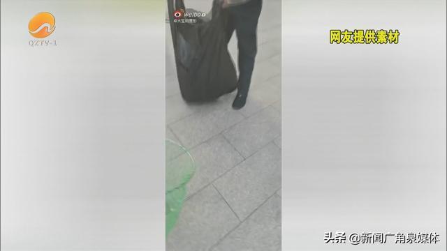 网曝保安毒杀流浪狗 公园回应来了