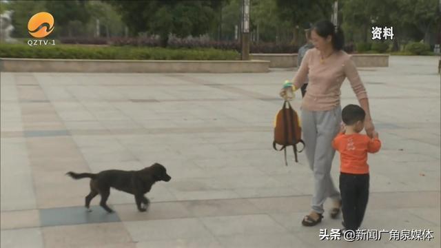 网曝保安毒杀流浪狗 公园回应来了