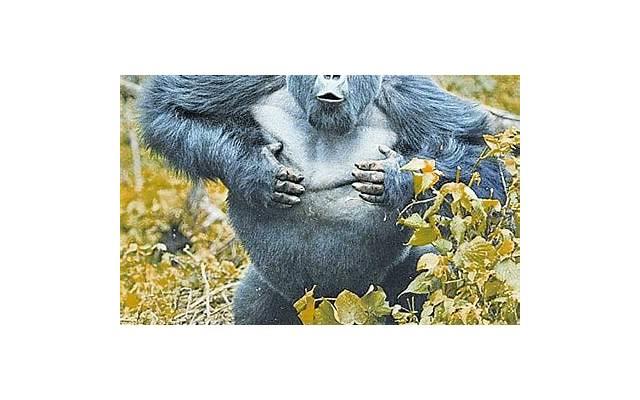 男人为什么喜欢紧紧抱着你睡? 男人为什么喜欢紧紧抱着你睡?