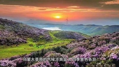 ​贵州乌蒙大草原