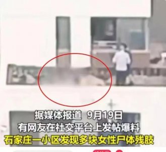 ​突发！河北石家庄发生碎尸案，肢体散落多处，知情者透露更多细节