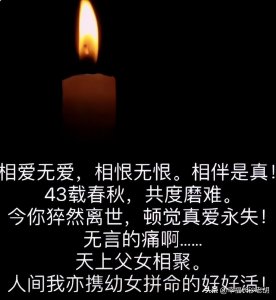 ​60岁盛海琳试管助孕生双胞胎，如今痛失丈夫，她用爱创造奇迹
