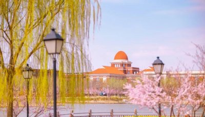 ​惊艳！南开大学“最美校花”曝光，网友盛赞：神仙颜值！