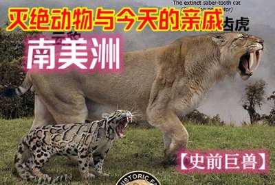 ​【灭绝巨兽与今天的亲戚】南美大陆篇