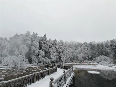 ​＂究竟谁是王者？中国游客告别欧美日韩游，掀起国内旅游热潮＂