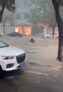 ​河北暴雨街头成河 市民抱树自救 河北暴雨12日最新消息