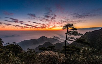 ​古人常说：人生七十古来稀，却不知上半句有多苦？道尽人生心酸