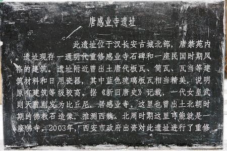 西安感业寺：武则天当尼姑的地方，遗迹尚存，听说要1.2亿重修
