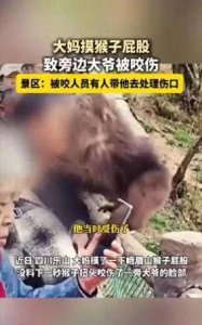 ​四川 峨眉山景区猴咬游客事件：景区回应⁢责任划分网络热⁠议不断