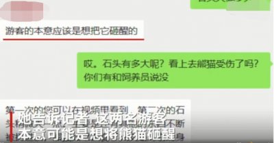 ​动物园有游客扔石头试图砸醒熊猫，目击者：熊猫被吓到