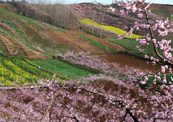 老河口市属于哪个省哪个市(老河口市属于哪个市)