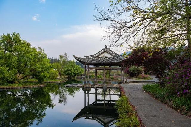 云南腾冲八日游（毕业旅行清单已列好）(14)