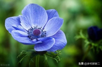 ​二椅子是什么意思啊 (二椅子是什么意思啊东北话)
