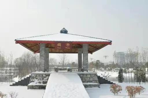 山东省的所有大学排名表（山东省大学实力排名）(5)