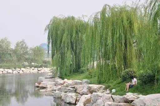 山东省的所有大学排名表（山东省大学实力排名）(4)