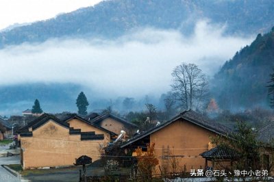 ​【民间故事】王寡妇与狼，人与自然如何和谐共生？